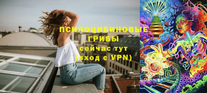 Купить наркотики сайты Агидель Бошки Шишки  Альфа ПВП  LSD-25  ГАШИШ  Мефедрон  Кокаин 