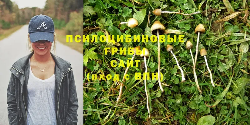 Псилоцибиновые грибы Magic Shrooms Агидель